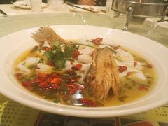 -新兴·金羊座·粤菜点心(乐峰店)