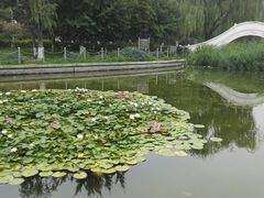 -南宫温泉水世界