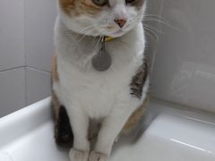 -甜心闲生·手工冰粉