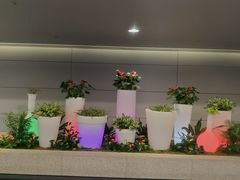 -首尔仁川机场ASIANA LOUNGE贵宾候机室(Incheon)