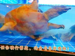 -甲王二老长沙口味馆