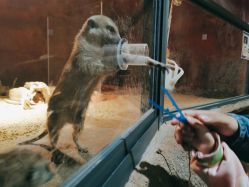 -酷嗒动物文化乐园(cutezoo西溪乐天城店)