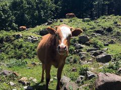 -硗碛藏寨·神木垒景区