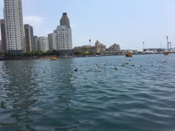 -星海水上乐园(星海广场圣亚店)
