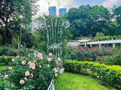 -人民公园(罗湖区)