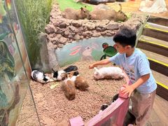-正佳雨林生态植物园