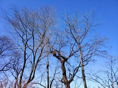 -终南山南五台景区