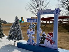 -荷兰花海