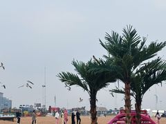 -那香海钻石沙滩浴场