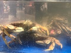 -盒马鲜生(莱蒙都会店)