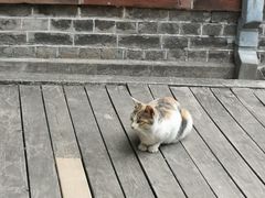 -融园咖啡馆(昙华林店)
