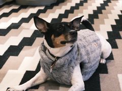 -MONCLER(北京SKP概念店)