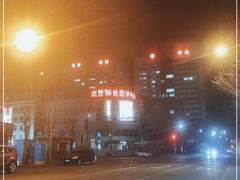 -中国人民武装警察部队特色医学中心