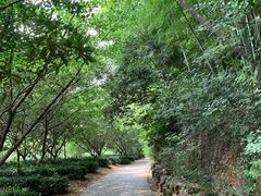 -九龙潭景区