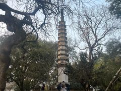-西泠印社