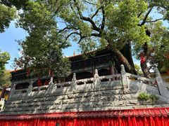 -宝通禅寺