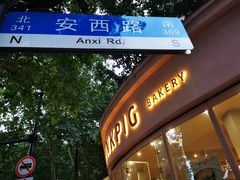 -WHEN PIGS FLY当猪飞