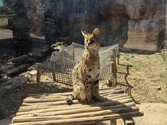 -杭州野生动物世界
