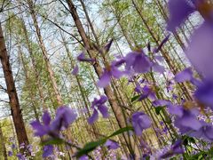 -河南省黄河迎宾馆