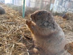 -海合安武汉极地海洋公园