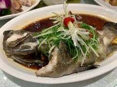 -老广新意(奥园店)