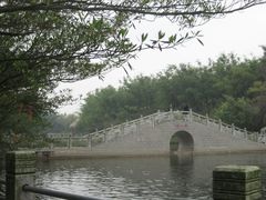 -广东茂名森林公园