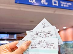 -岚山嵯峨野观光小火车