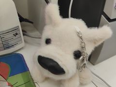 -德元·美联众合24小时动物医院(总院)