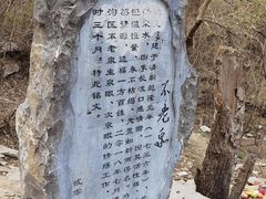 -定都阁
