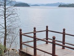 -逸廊大堂吧-下午茶·简餐-千岛湖自由洲际殿