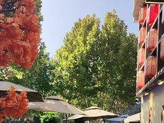 -后湖小院·乡野田园菜