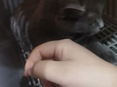 -芭比堂动物医院·CT·微创中心(新顺分院)