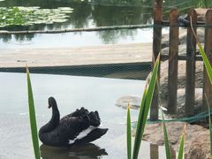 -吉林大学(前卫南区)