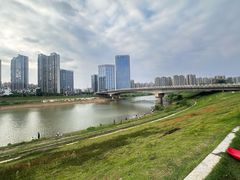-洋湖国家湿地公园