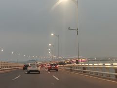-松树干拌面店