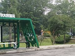-都江堰中华大熊猫苑
