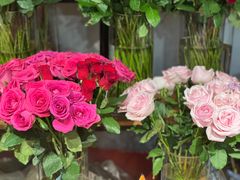 -沪花拾者(好再来花卉鲜花店)