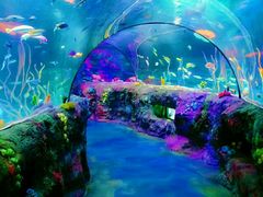 -沈阳海洋探索中心