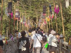 -西双版纳原始森林公园