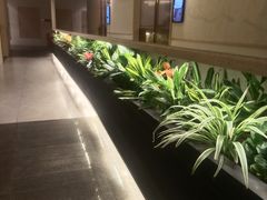 -荷花亭·湖北融合菜(中商广场店)