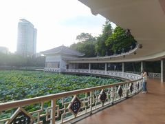 -荔湾湖公园