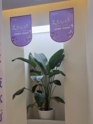 -头道汤头疗养生馆