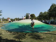 -苏州太湖西山岛开心农场