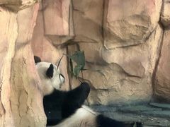 -泉州海丝野生动物世界