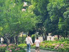 -常州古运河南大街文化旅游区-人民公园