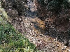 -北仑森林植物园