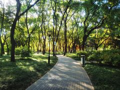 -玲珑塔公园