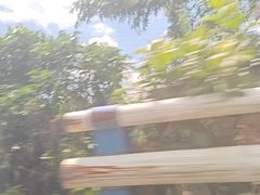 -莆田南少林寺