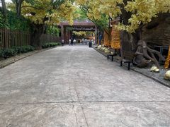 -横店影视城梦幻谷园区
