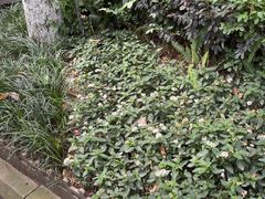 -大妙火锅·非物质文化遗产(东湖公园店)